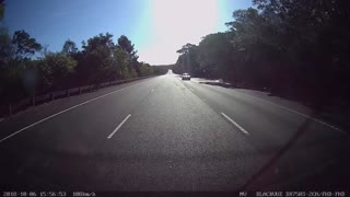 Distracted Driver Slams Guardrail
