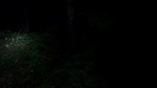 Testing the black diamond storm 400 in the woods at night