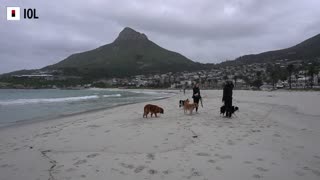 Views of Camps Bay Beach in Cape Town