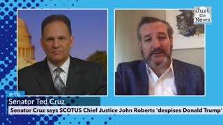 Senator Cruz says SCOTUS Chief Justice John Roberts 'despises Donald Trump'