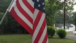 A Patriot's Pledge of Allegiance