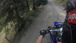 Man on Motorcycle Barely Avoids Mountain Lion