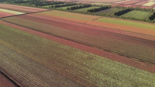 Aerial view of colorful farm fields