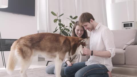 Couple playing with their nice dog