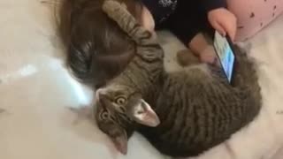 Kitten Begs For Attention From Little Girl