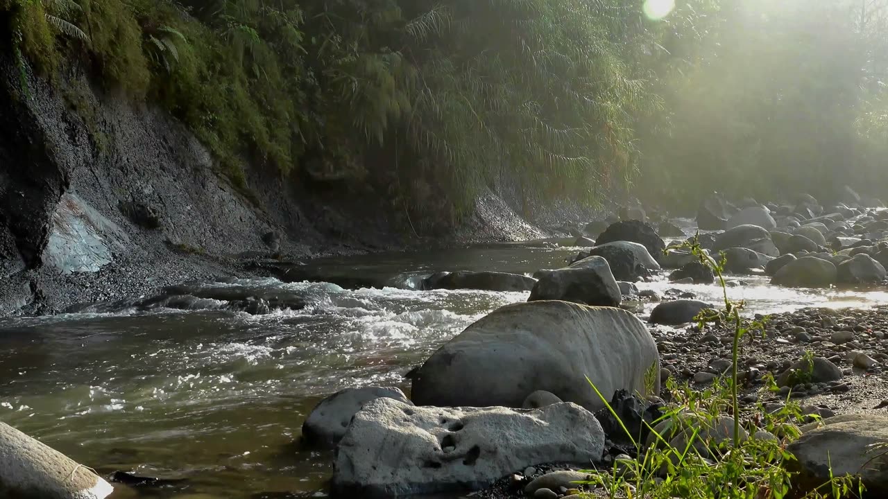 Шум белый реки 10. Вода река. Вода река релакс. Звук речки. Расслабляющие звуки реки.