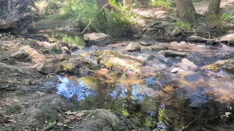 Relax down by the creek