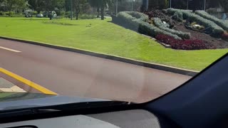 Driver Plowed Through Perth