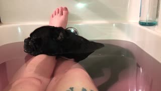 Sleeping Dog Snores During Bath