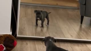 First time in the mirror