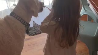 This little girl brushes her dog's teeth with stinky baby food