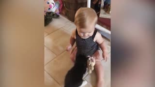 .video of cats babies playing together * animals trolling babies.
