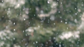 Snowfall footage