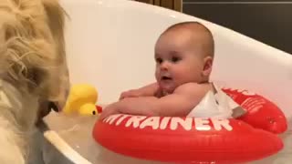 Protective doggy acts as lifeguard during baby's bath time