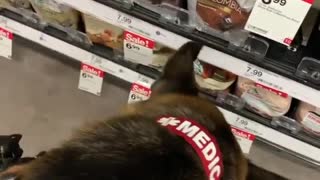 Service dog helps owner with the groceries