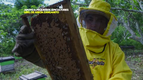 Apoyo a pequeños apicultores