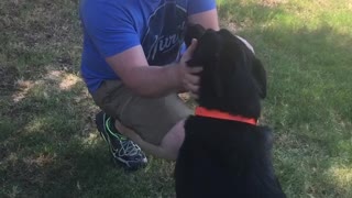 Excited Doggy Reunites with His Owner