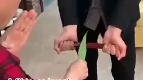 Kungfu master cut sticks with leaf