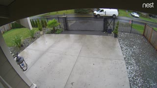 Delivery Driver Hucks Package Over Gate