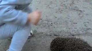 Kid playing with a hedgehog