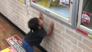 Excited Doggy Dances With Boy Through Window