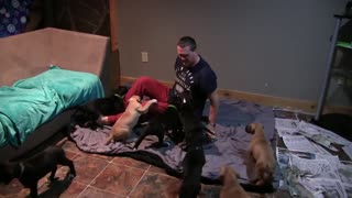 Man Survives Attack by 15 Puppies!