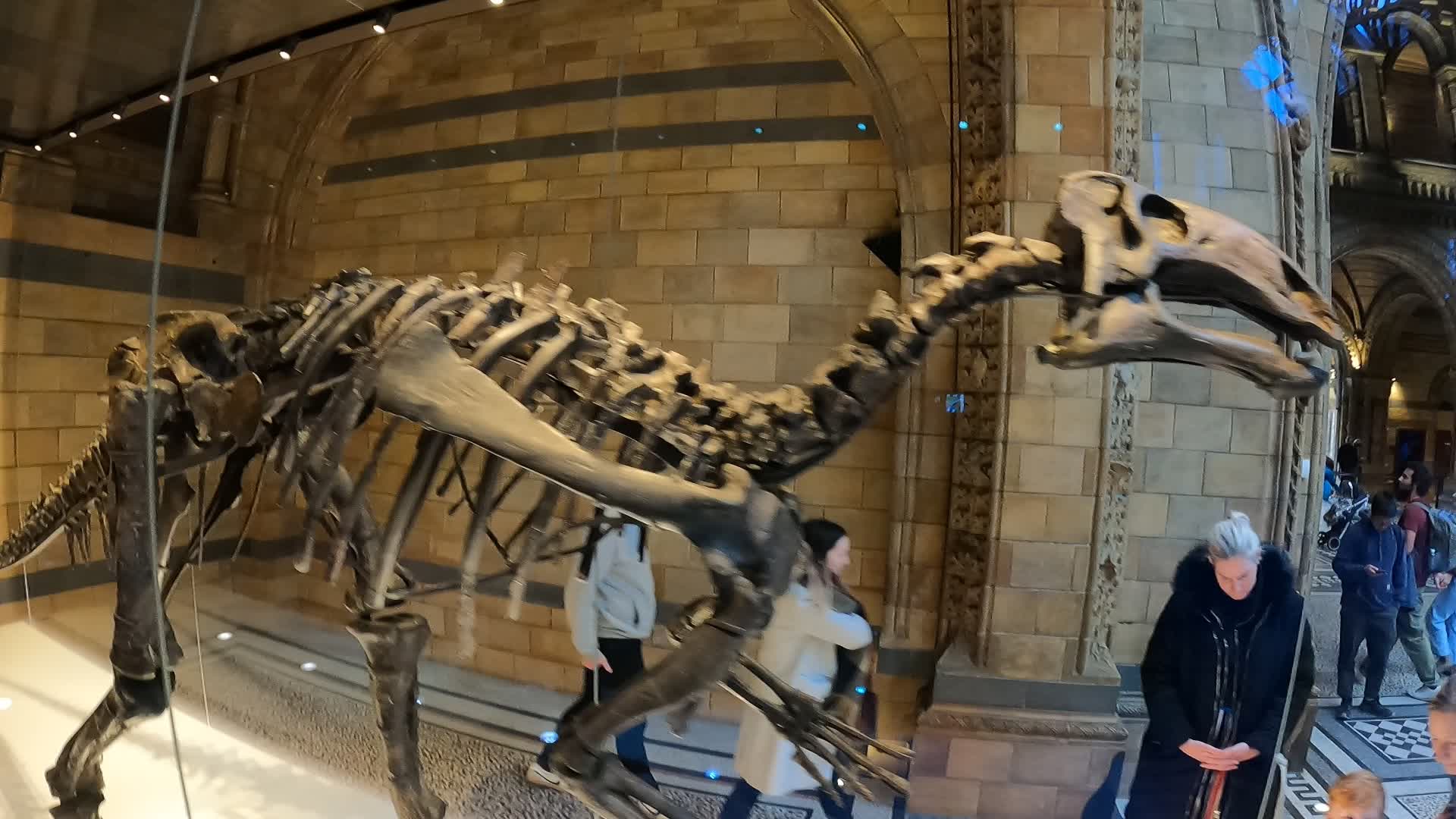 love-these-dinosaurs-natural-history-museum-london-7th-nov-2022