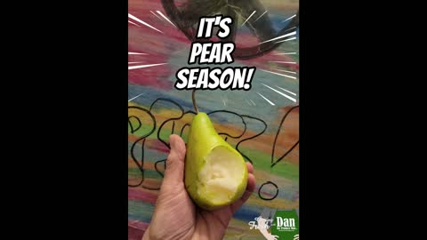 It's Pears Season!