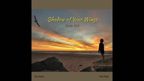 SHADOW OF YOUR WINGS - Psalm 17:8