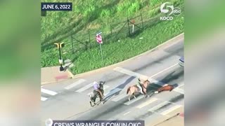 A different type of highway chase...