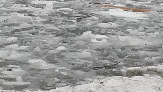 Frosty Lake Ontario