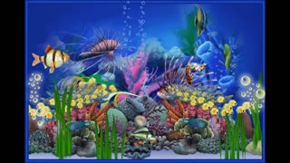 Beautiful Aquarium// colourful fishes//peaceful and calm// amazing aquarium.