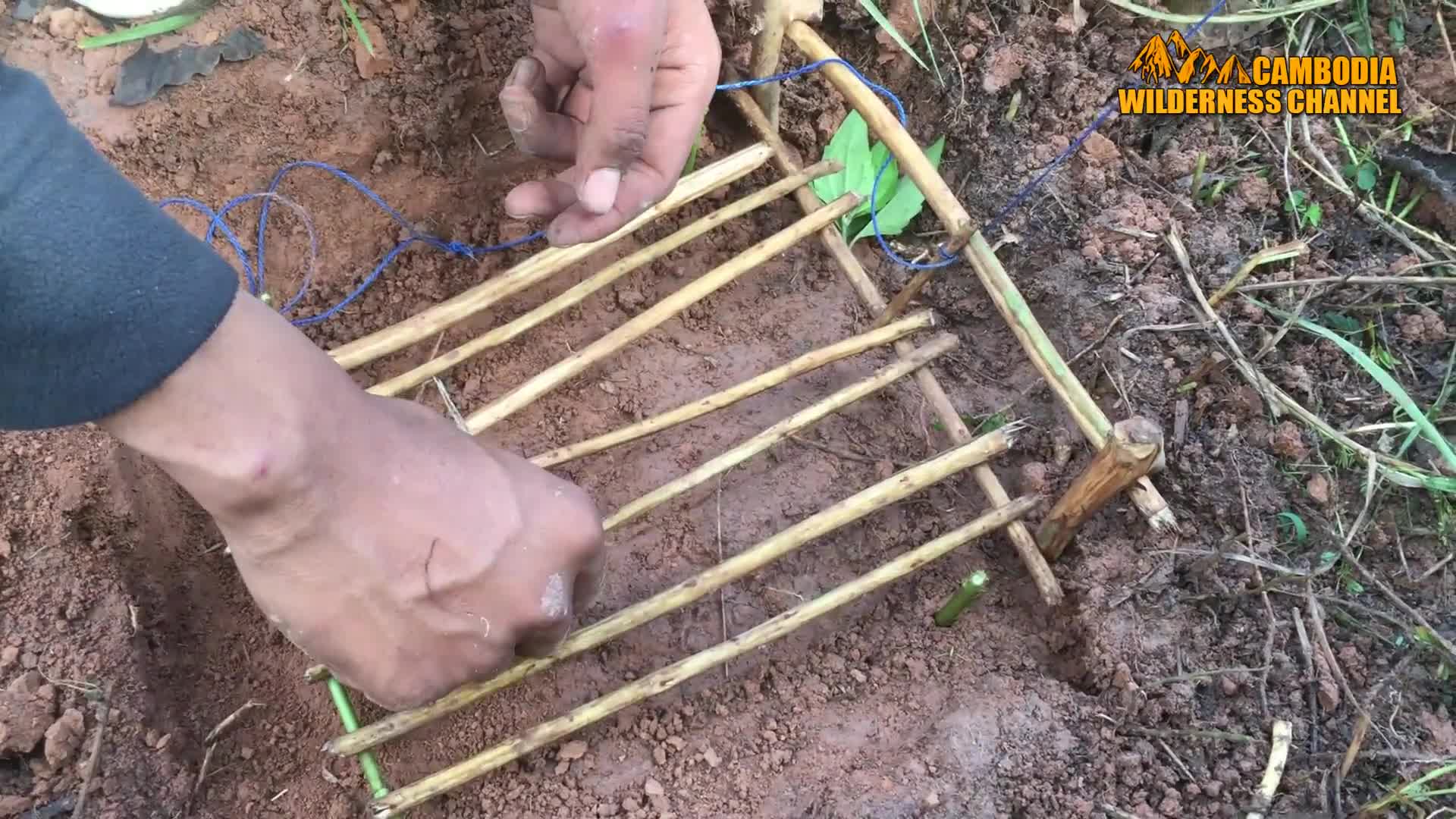 Amazing Quick Rabbit Trap in Cambodia How To Make Rabbit Trap Easy