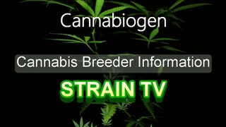 Cannabiogen - Cannabis Strain Series - STRAIN TV