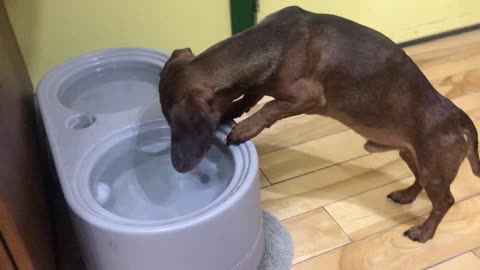Bobbing for ice cubes