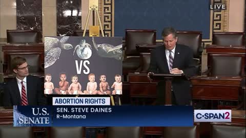Senator Steve Daines on Abortion - Asks Why Protection of Eagles & Turtles, But Not Humans