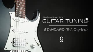 Guitar Tuning Standard