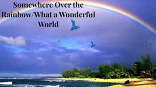 Somewhere Over the Wonderful World Cover