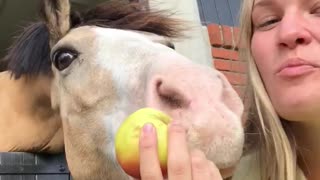Human and Horse Sharing a Snack