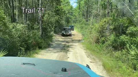 The Ladies take Us to Ocala National Forest for a Labor Day Ride