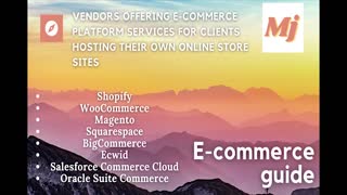 Vendors offering e-commerce platform services for clients hosting their own online store.