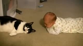 Cat meets baby for the first time ever