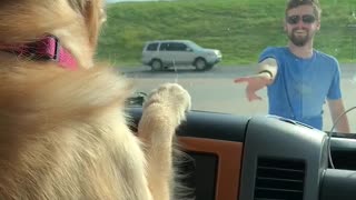 Confused dog tries to catch ball outside windshield