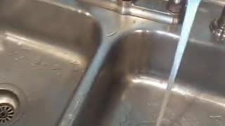 new kitchen sink installed with garbage disposal