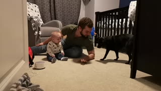 Playful pup sends baby into hilarious giggle fit