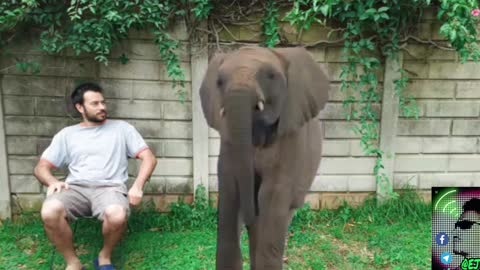 Eli and the elephant