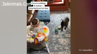 Adorable Puppies Love Babies Compilation 👶 Videos 2021