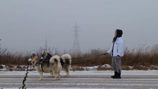 Woman Standing Outside with her Dogs during Winter