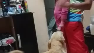 baby plays with your dog