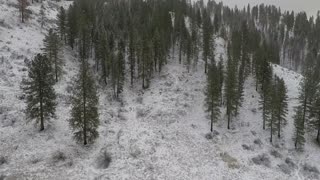 Elk and Deer Spotted with Drone - Garden Valley Idaho